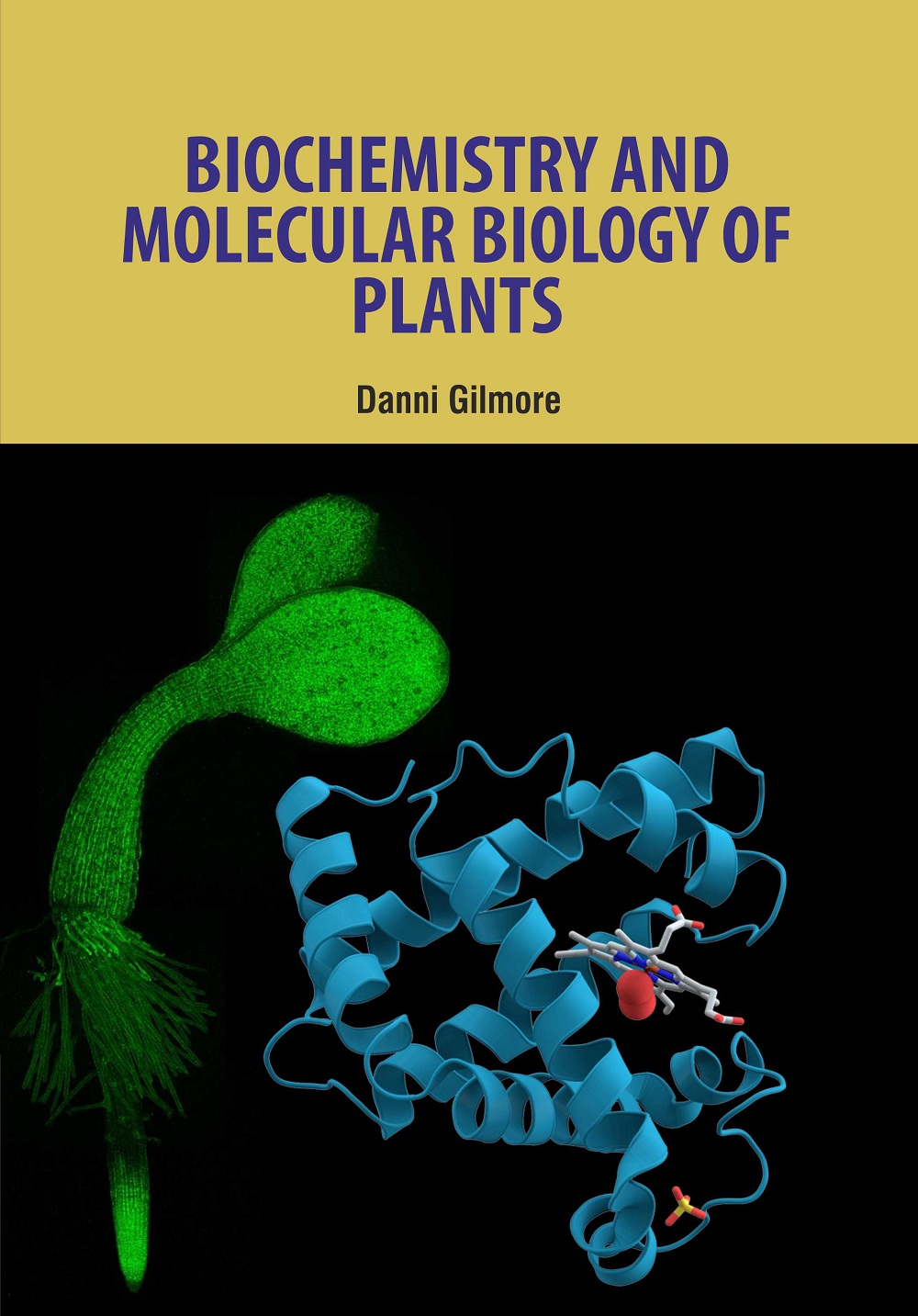 catalog/books/Biochemistry and Molecular Biology of Plants.jpg